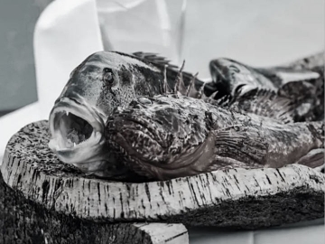 Au restaurant L'auguste - Prea Gianca, le poisson nous le voulons frais & localement Corse 🐟👌

Qu'en pensez-vous ?

________
• https://www.preagianca.fr/...