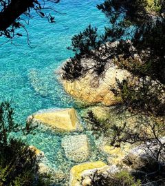 Partenaire particulier de Prea Gianca ➡️  Balades en Corse 👌😃

Vous logez chez nous et souhaitez découvrir la #Corse ? téléchargez leur application 100%...