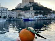 L'un des trésors de notre magnifique Corse, celui qui vous laisse un doux parfum sur les mains après l'avoir consommé… ☺️🍊

Nous nous approchons...