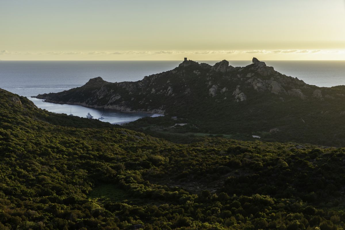 Itinéraire de randonnée près du Lion de Roccapina en Corse du Sud Itinéraire de randonnée près du Lion de Roccapina en Corse du Sud
